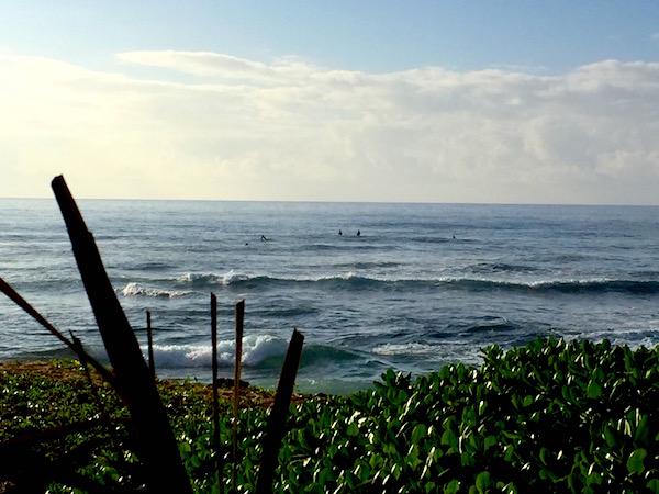 サンディビーチ　ハワイ　サーフィン