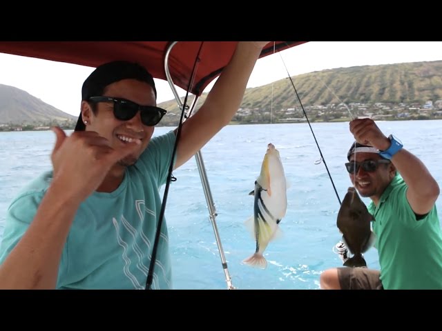 YouTube動画 1LobvZhBtJ4 のサムネイル