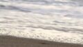 Aloha in 15 Seconds | 15秒のハワイ – Sandy Beach