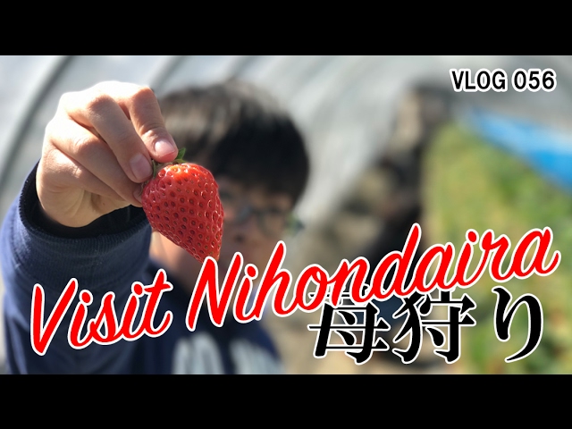 YouTube動画 y1BeaWND2do のサムネイル
